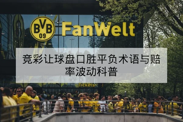 CBA球队伤病恢复进度与预计复出轮换影响